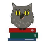 Bild Eule Schulbibliothek